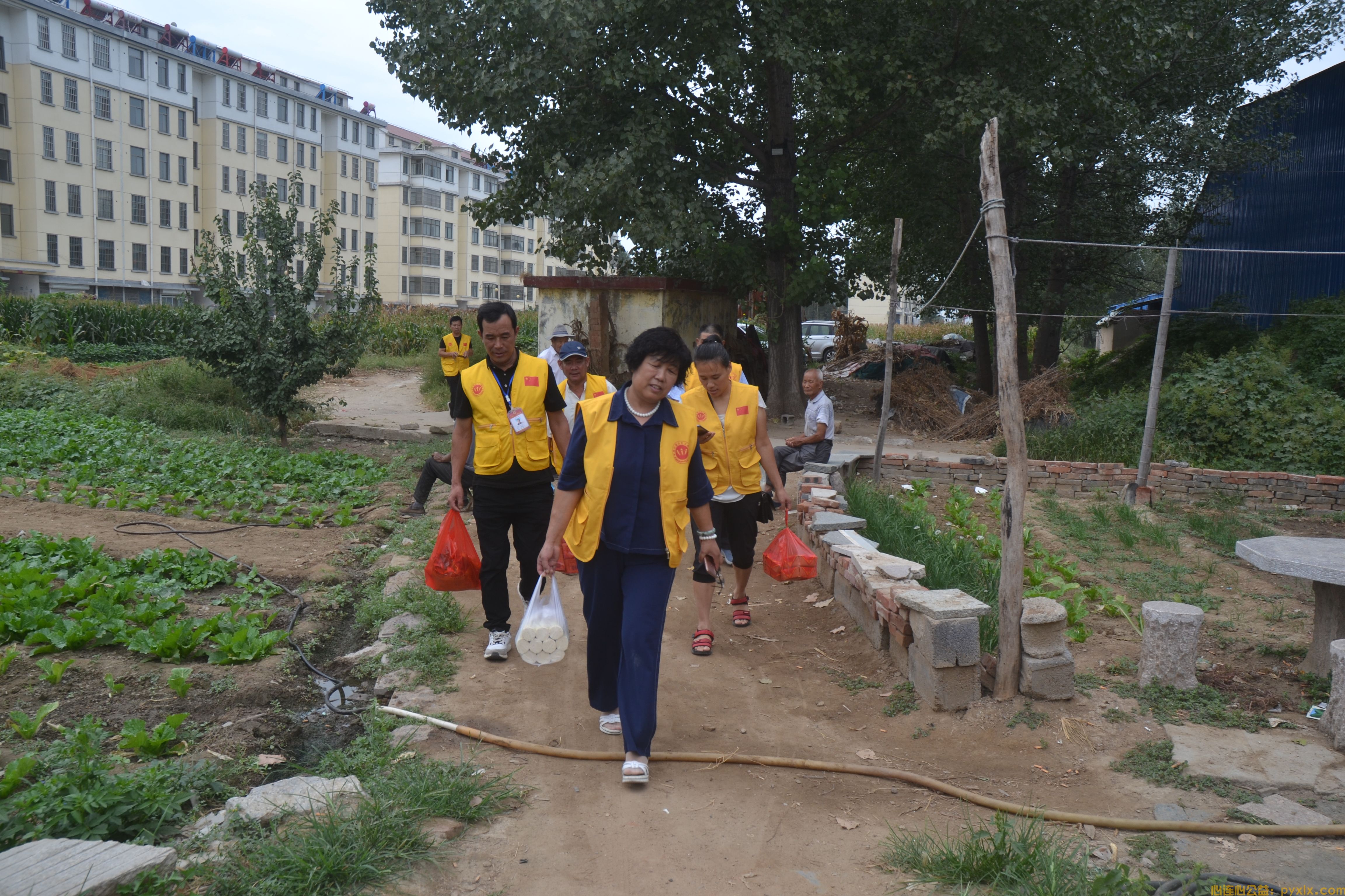 新时代文明实践：关爱孤寡老人共度中秋佳节(图14)