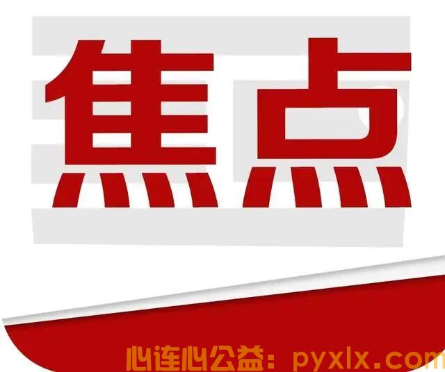 平邑助农鲜桃滞销，两家公益组织联手抢收，化解果农燃眉之急(图1)