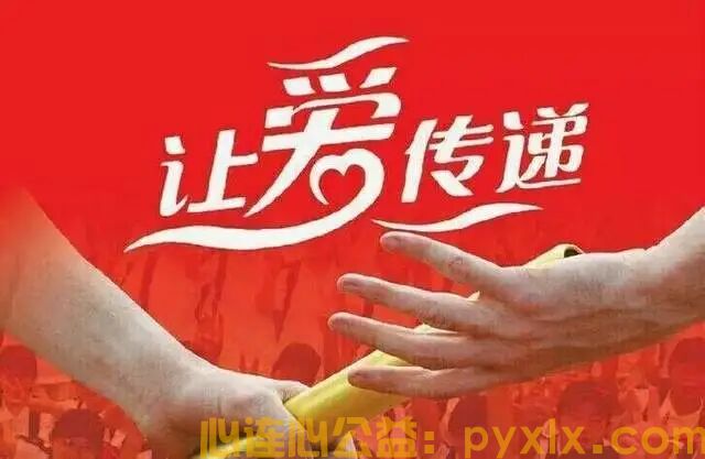 平邑助农鲜桃滞销，两家公益组织联手抢收，化解果农燃眉之急(图8)