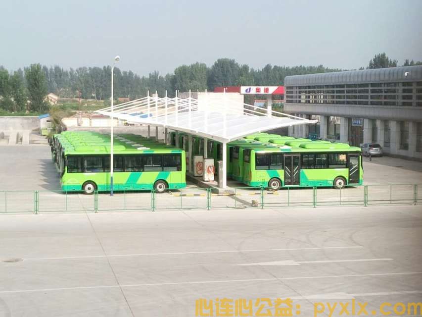 想做平邑的免费公交车？路线你都知道吗？(图2)