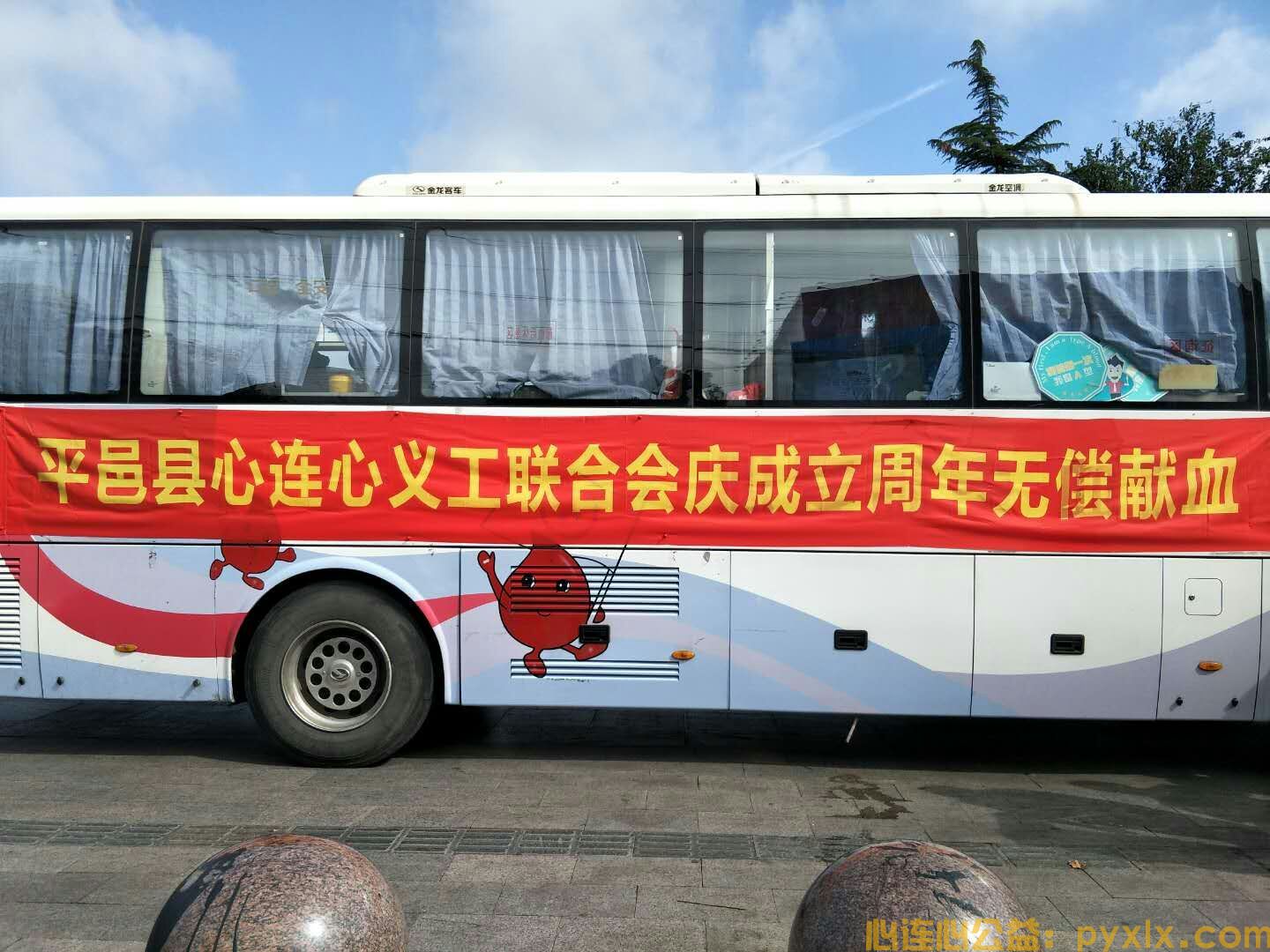 流动的血液、献出的爱心，平邑心连心组织献血