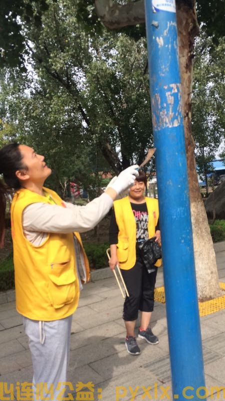 流动的血液、献出的爱心，平邑心连心组织献血(图7)